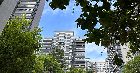 鹿泉区电商域名注册报价查询官网官方