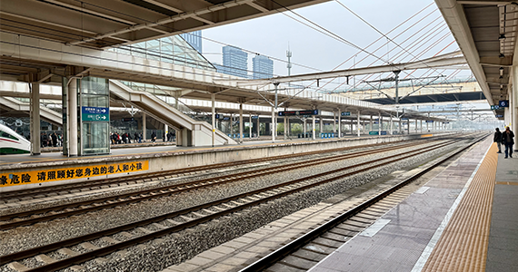 域名电子商标查询官网