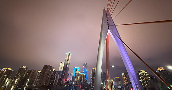 红桥区电商域名注册资格查询