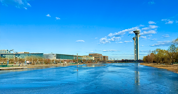 河西区电商域名注册资格查询